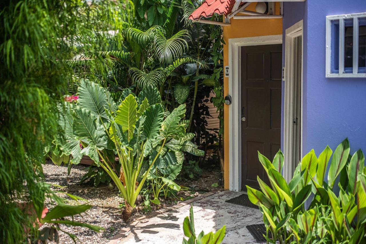Jaco Lodge Quiet Place (Adults Only) Экстерьер фото